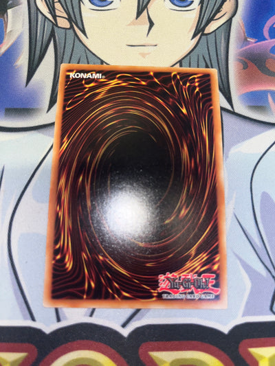Stardust Dragon Collectors Rare TOCH-EN050 1st Edition